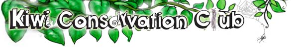 Kiwi Conservation
                  Club for Kids