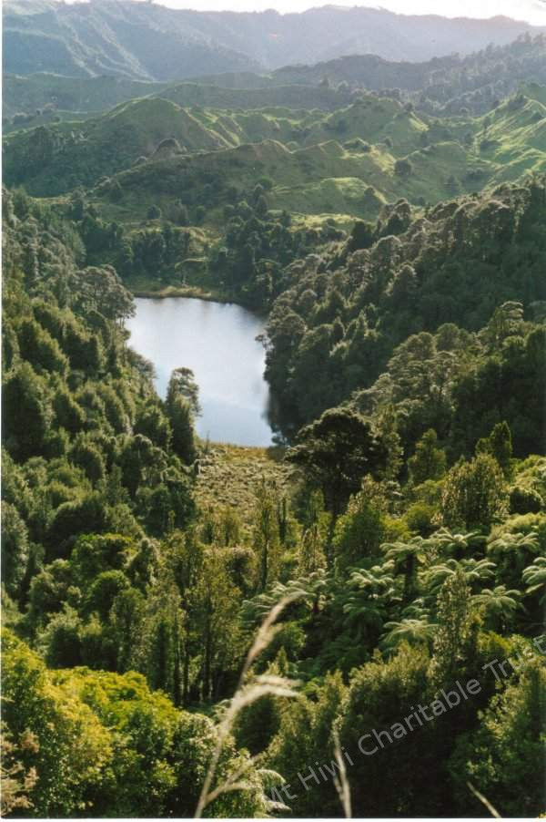 Magnificent photos of South Taranaki Conservation Area