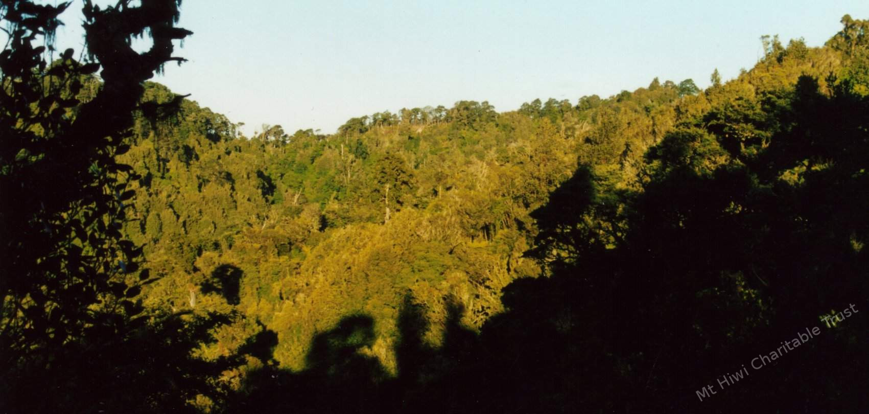 Valley_View how many Kiekie down there?